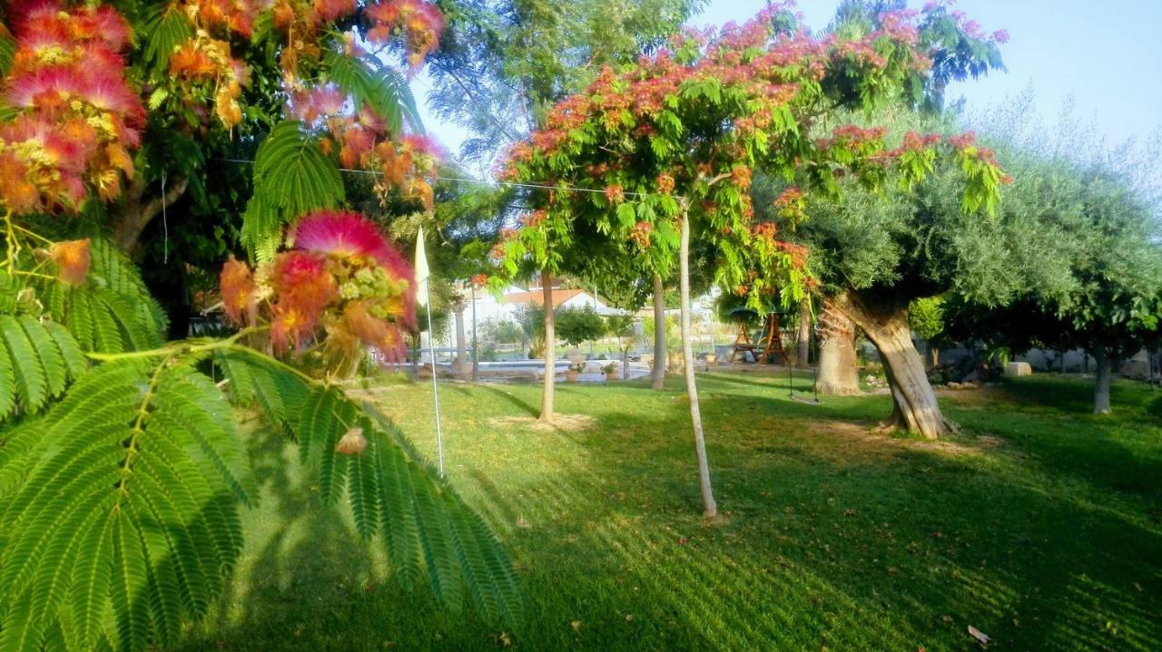 شقة La Toscana مرسية المظهر الخارجي الصورة